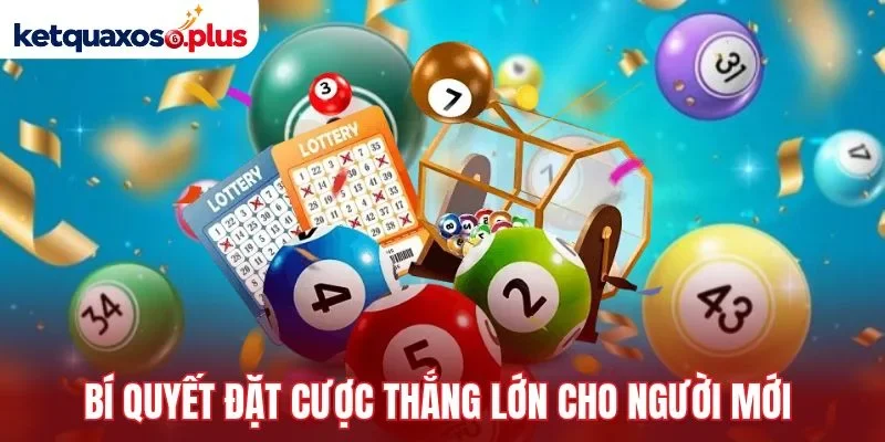 Bí quyết đặt cược thắng lớn cho người mới